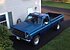 1979 Chevrolet C/K Truck Custom Deluxe for sale 101095729
